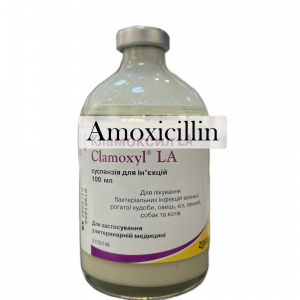 Clamoxil LA Injection (Amoxicillin 150mg) 100 ml