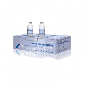 Benzylpenicillin 1,000,000 IU